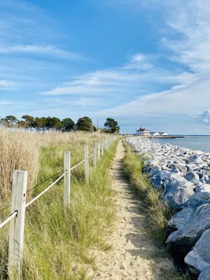 Point Lookout State Park by null