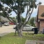 Photo of Armstrong Landscaping