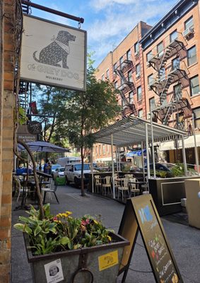 The Grey Dog by null