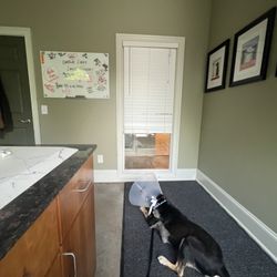 Marietta Vet Clinic - Big shoutout to our amazing team at Marietta Vet Clinic for taking such good care of this brave pup's surgery