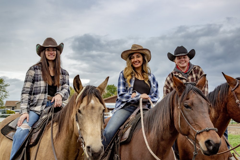 Mangold Ranch Versatility - equestrian in Lockport, NY