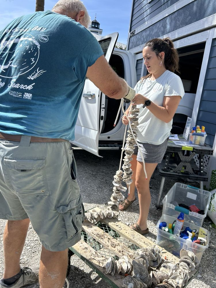 Tampa Bay Watch - social services organization in Saint Petersburg, FL