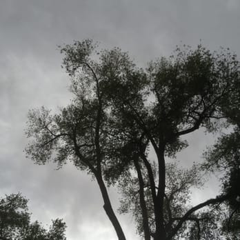 Roosevelt Park - Parks Near Me - Albuquerque, New Mexico