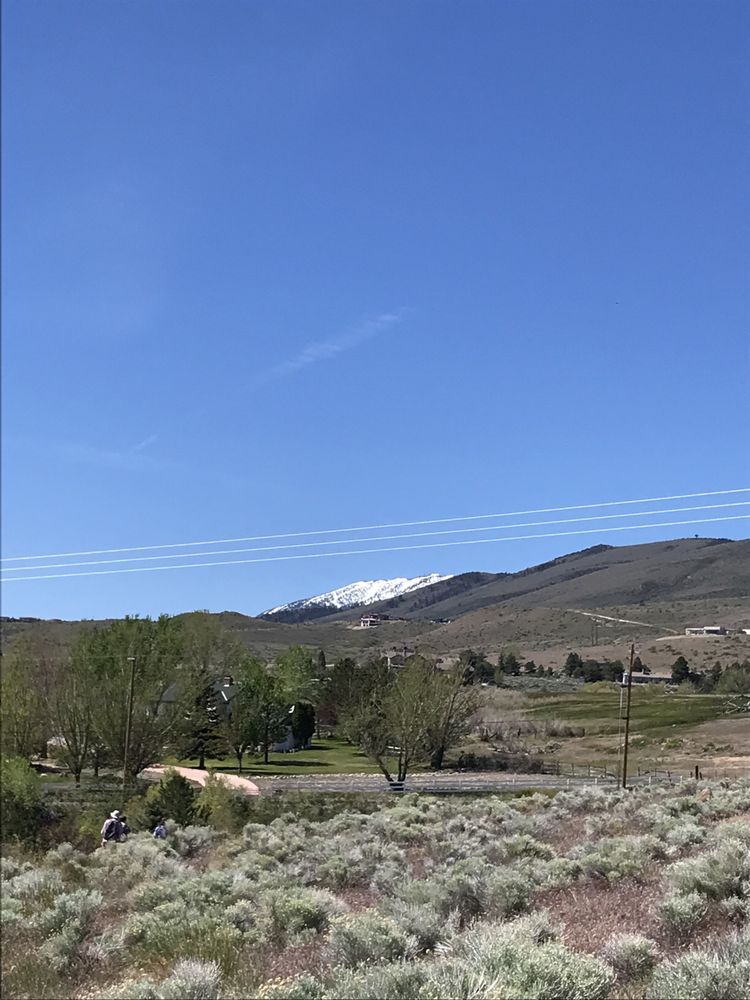 Truckee Meadows Parks Foundation - social services organization in Reno, NV