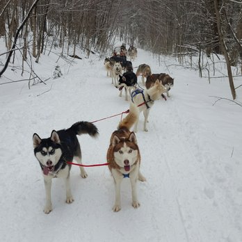 Peacepups Sledding - Sledding Near Me - Lake Elmore, Vermont