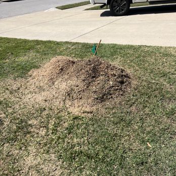 Austin Stump Buster - After - Tree Services Near Me