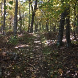 Mount Marshall Trailhead