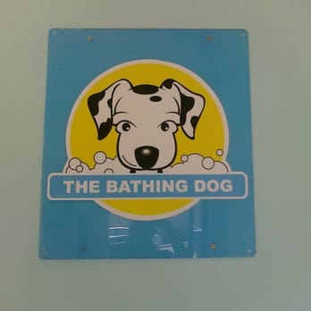 The Bathing Dog - Pet Groomers Near Me - San Francisco, California The Bathing Dog - Pet Groomers Near Me - San Francisco, California