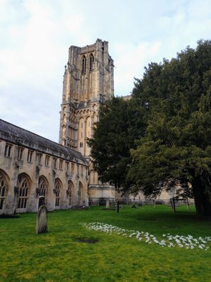 Wells Cathedral by null