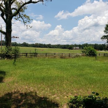 Carriage & Horses - Beautiful country setting in Pine Mountain, GA - New American Near Me - Pine Mountain, Georgia Carriage & Horses - Beautiful country setting in Pine Mountain, GA - New American Near Me - Pine Mountain, Georgia