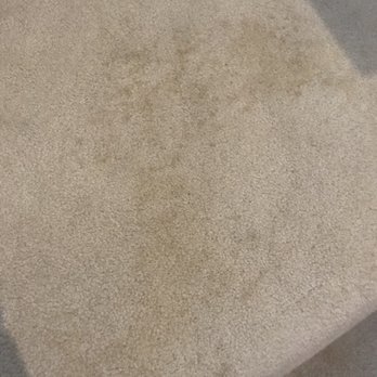 Enviro Clean Carpet Cleaning - Carpet Cleaning Near Me - San Antonio, Texas Enviro Clean Carpet Cleaning - Carpet Cleaning Near Me - San Antonio, Texas