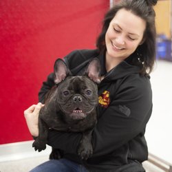 The Dog Stop - Boardman, OH - All of our staff is fully trained and certified