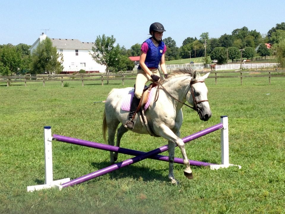 Creekside Riding Academy & Stables - equestrian in Franklin, TN