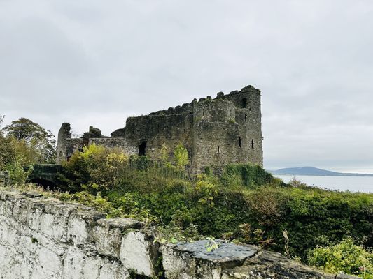 Carlingford Castle by null