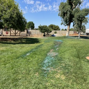 Advanced Landscape and Hydroseeding - Hydroseeding is an excellent way to repair damaged turf. This damaged was caused by heavy trucks and tractors driving over the existing lawn - Landscaping Near Me - Mentone, California Advanced Landscape and Hydroseeding - Hydroseeding is an excellent way to repair damaged turf. This damaged was caused by heavy trucks and tractors driving over the existing lawn - Landscaping Near Me - Mentone, California