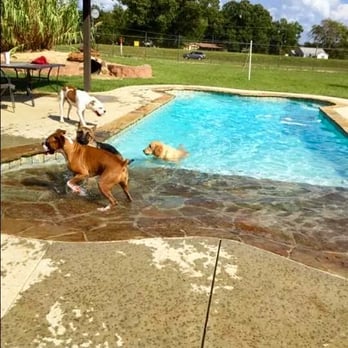 Bed Bath 'n Bonz - Dog park and pool! - Pet Groomers Near Me - Tyler, Texas