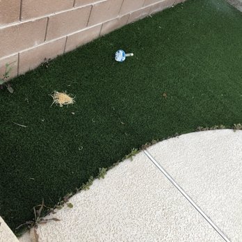 Las Vegas Yard Services - Lawn Services Near Me Las Vegas Yard Services - Lawn Services Near Me
