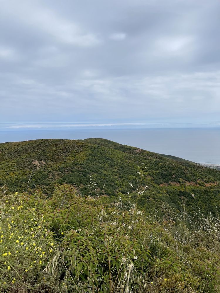 Malibu Mountain Bikers