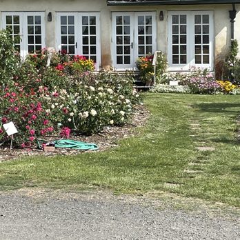 Russian River Rose Company - The house - Nurseries & Gardening Near Me - Healdsburg, California Russian River Rose Company - The house - Nurseries & Gardening Near Me - Healdsburg, California