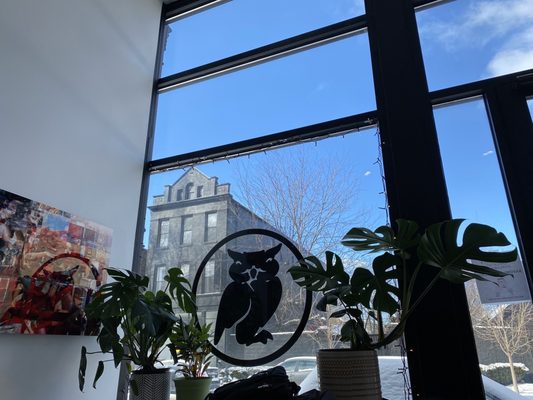 Bad Owl Coffee Roasters by null