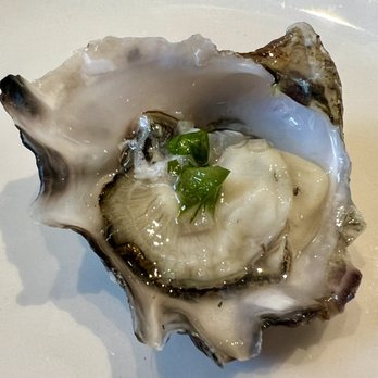 Hog Island Oyster Co - Hog Island Kumamoto - Seafood Near Me - Napa, California Hog Island Oyster Co - Hog Island Kumamoto - Seafood Near Me - Napa, California