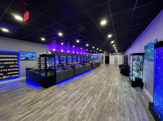 elf bar vape uk Double up smoke and vape - Reviews, Photos & Phone Number - Updated April  2026 - Tobacco Shops in Montgomery County, Tennessee (TN)