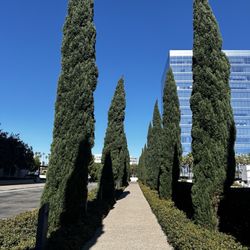 La Jolla Center - Walkway