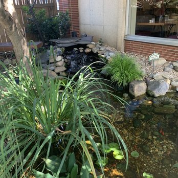 West End Cafe - Koi pond out front - New American Near Me - Winston Salem, North Carolina West End Cafe - Koi pond out front - New American Near Me - Winston Salem, North Carolina