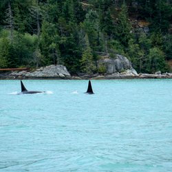 Canadian Coastal Sailing