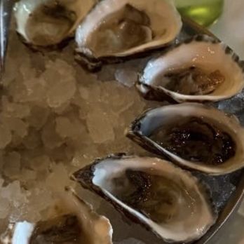 The Marigold Club - Half dozen raw oysters. - American Near Me - Houston, Texas The Marigold Club - Half dozen raw oysters. - American Near Me - Houston, Texas