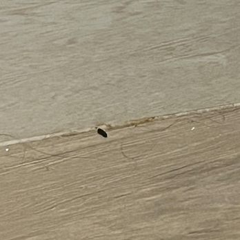 Hampton Inn & Suites Murrieta Temecula - mouse droppings - Hotels Near Me - Murrieta, California