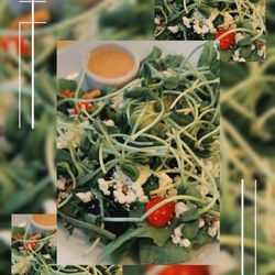 Jyoti-Bihanga - Dinner Salad