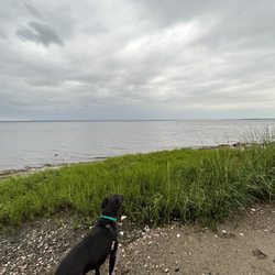Longmeadow Fishing Area - Dogs are allowed on leash