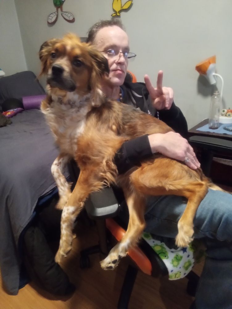 Sound Mental Health - grief counselor in Auburn, WA