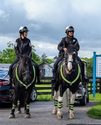 Kentucky Horse Park by null