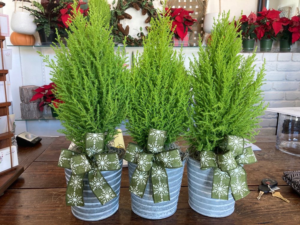 WALDEN’S FLOWER SHOP Updated August 2024 415 N Madison St