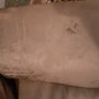 Cyclone Carpet Cleaning Service