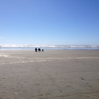 Ocean City State Park - Great place to sit and enjoy the view but don't forget your blankets! It's cold and windy! - Parks Near Me - Hoquiam, Washington Ocean City State Park - Great place to sit and enjoy the view but don't forget your blankets! It's cold and windy! - Parks Near Me - Hoquiam, Washington