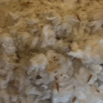 Aptive Pest Control - Rodent problem Aptive denies - Pest Control Near Me - Plano, Texas Aptive Pest Control - Rodent problem Aptive denies - Pest Control Near Me - Plano, Texas