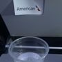 American Airlines