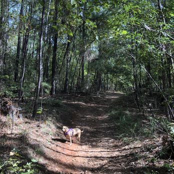 Harbison State Forest - Hiking Near Me - Columbia, South Carolina Harbison State Forest - Hiking Near Me - Columbia, South Carolina