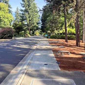 Cherry Crest Mini Park - Parking area - Parks Near Me - Bellevue, Washington Cherry Crest Mini Park - Parking area - Parks Near Me - Bellevue, Washington