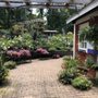 Photo of Poplar Forest Landscaping & Nursery