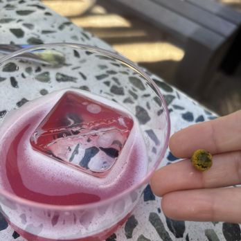 Twelvemonth - The thirteenth Month&its flower that changes our taste bud - Vegan Near Me - Burlingame, California Twelvemonth - The thirteenth Month&its flower that changes our taste bud - Vegan Near Me - Burlingame, California
