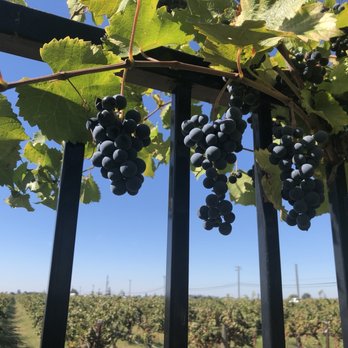 Van Ruiten Family Winery - Wineries Near Me - Lodi, California Van Ruiten Family Winery - Wineries Near Me - Lodi, California