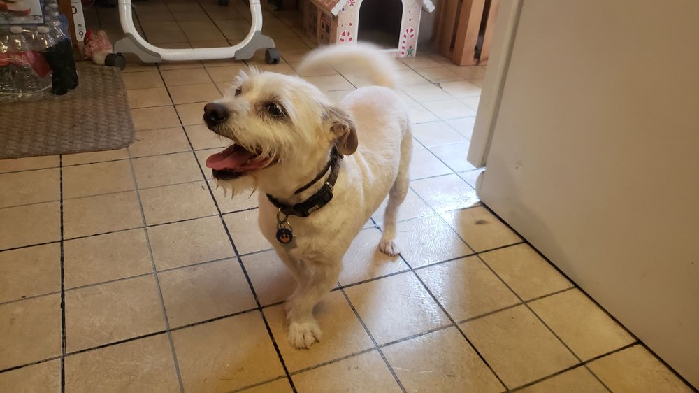 BUBBLES ON WHEELS 66 Photos & 39 Reviews Los Angeles, California