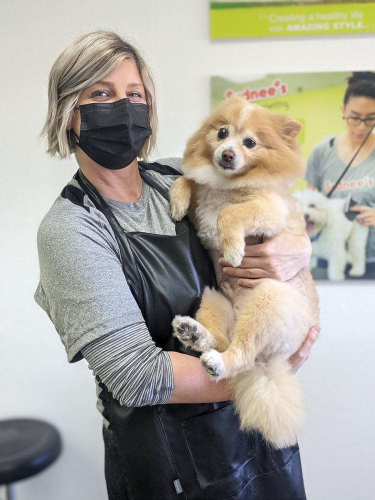 SYDNEE’S PET GROOMING RANCHO SANTA MARGARITA 92 Photos & 25 Reviews