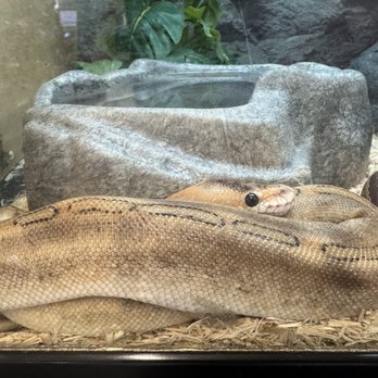 Petco - Pet Stores Near Me - Irvine, California