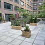 Photo of Amber Freda Landscape Design