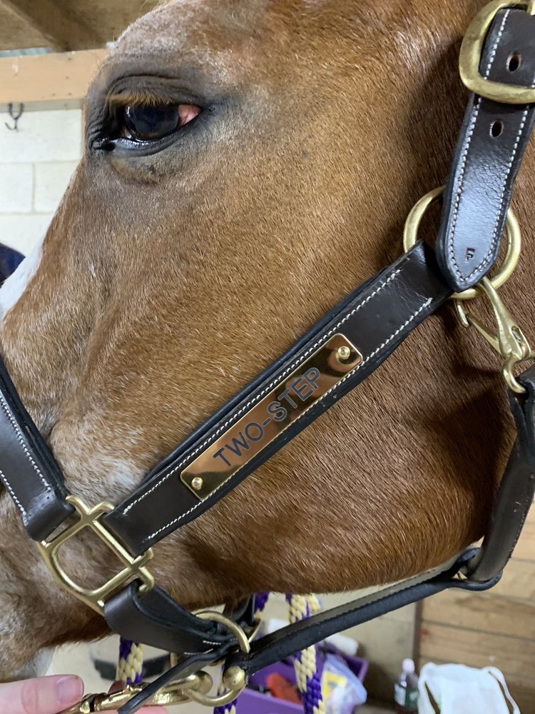 RICK’S SADDLE SHOP & FEED SUPPLIES Updated September 2024 282 Route